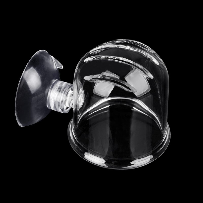 WEAVERBIRD Aquarium Glass Cone Feeder Red Worm Fish Tank Plant Shrimp Feeder Fish Feeding Cup - Image 5